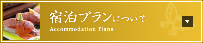 宿泊プランについて