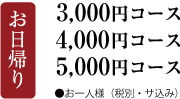 お日帰りコース
